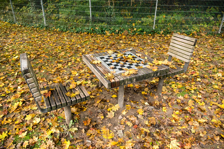 Chess table in autumn park covered with autumn leavesの写真素材