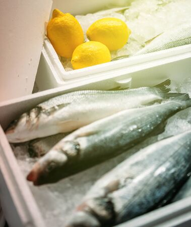 Fresh snook fish ready to be sold - gourmet market - with yellow lemons and clean iceの写真素材