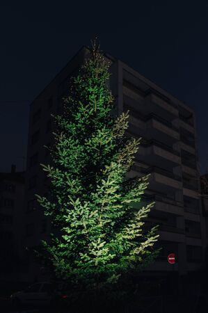 Christmas tree with yellow illumination lights with apartment building in the backgroundの写真素材