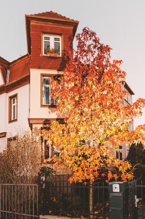 Beautiful luxury house at dusk with red maple tree in front and calm neighborhoodのeditorial素材