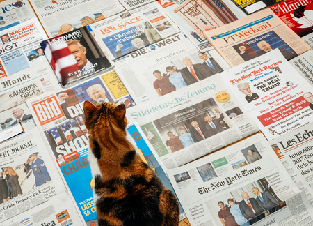 PARIS, FRANCE - JAN 21, 2017: Cat admiring the covers of major international newspaper journalism featuring headlines with Donald Trump inauguration as the 45th President of the United States in Washington, D.Cのeditorial素材