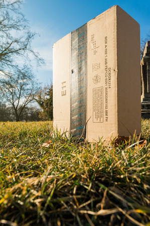 STRASBOURG, FRANCE - FEB 16, 2017: Amazon Prime cardboard box delivered by a drone in the green grass lawn of a park garden - sun flare and wide lensのeditorial素材