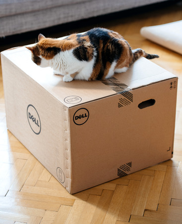 PARIS, FRANCE - AUG6: Cat inspecting multiple Amazon Prime boxes delivered by courier and left by the door by Hermes delivery courierのeditorial素材