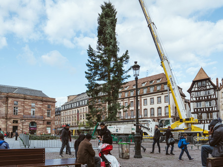 STRASBOURG, FRANCE - OCT 30, 2017: Tall crane installing Strasbourg Christmas Tree in central Place Kleber Square by gigantic crane for the upcoming winter holidaysのeditorial素材