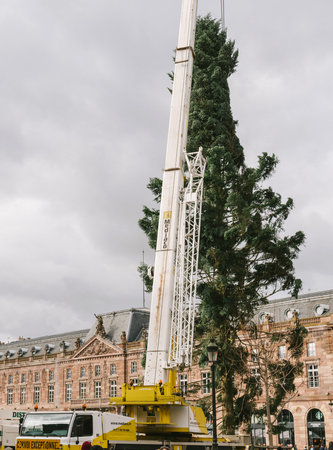 STRASBOURG, FRANCE - OCT 30, 2017: People admiring Strasbourg Christmas Tree Install in central Place Kleber Square by gigantic crane for the upcoming winter holidaysのeditorial素材