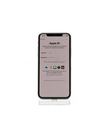 PARIS, FRANCE - NOV 5, 2017: New Apple iPhone X 10 smartphone isolated white background Apple ID sign-in and login password field during first startのeditorial素材