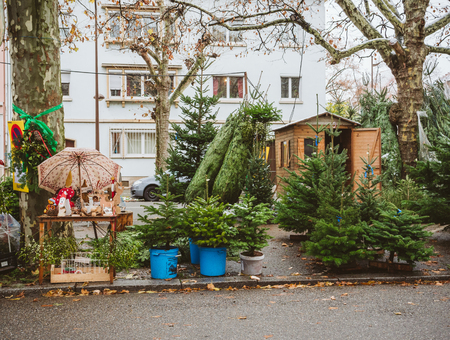 STRASBOURG, FRANCE - DEC 4, 2017: Christmas tree sale at the farmer market in central Strasbourg with evergreen fir trees from Alsaceのeditorial素材