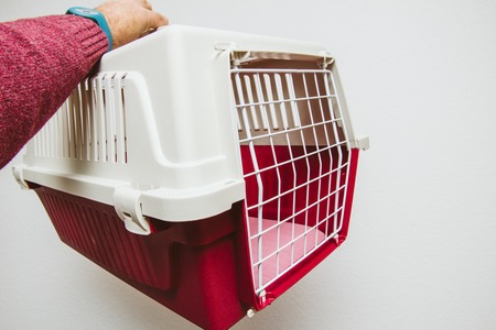 Man hand holding against white background animal pet cage used for cat and dog transportation in planes and busesの写真素材