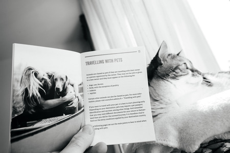 PARIS, FRANCE - MAR 24, 2018: Man holding Traveling with pets information brochure about animals and pets issued by Swiss Government, Veterinary Office and Customs in front of cute catのeditorial素材