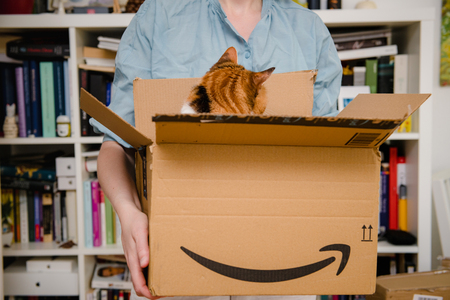 PARIS, FRANCE - JUL 4, 2018: Shy pet cat exits from Amazon Prime cardboard after delivery by courier and unboxing by woman in the living roomのeditorial素材