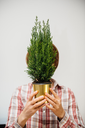 Beautiful casual dressed woman hiding her face behind freen fir tree in golden pot deadpan style - horizontal photoの写真素材