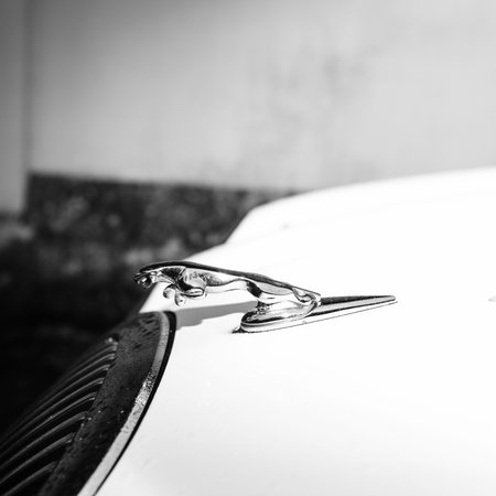 Strasbourg, France - Jan 1, 2019: Detail of Jaguar steel icon on the front of a luxury car - black and white square imageのeditorial素材