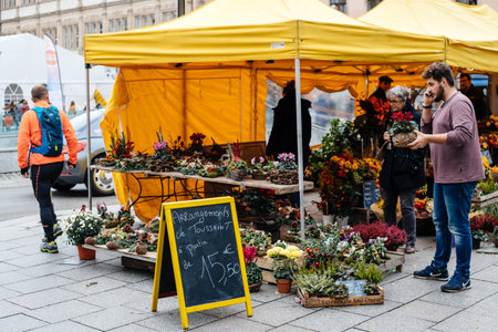 Strasbourg, France - Oct 28, 2018: Florist tent with multiple flowers in pots decoration ichiban in central Strasbourg Place Gutenberg Toussaint flowersのeditorial素材