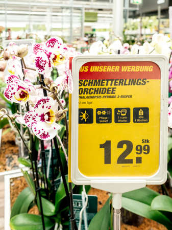 Frankfurt, Germany - Apr 13, 2019: Special offer for Multicolored fresh Orchid flower from the Orchidaceae family close-up in modern florist store TOOMのeditorial素材