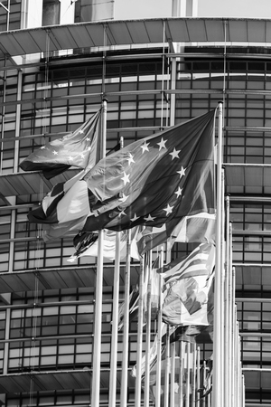 Flags of all member states of the European Union waving in calm wind in front of the Parliament headquarter on the day of 2019 European Parliament election - black and white image.の写真素材