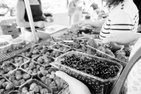 French woman shopping for fresh currant and strawberries on local farmers market - organic bio food harvested in French villages black and white imageの写真素材