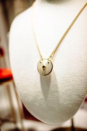 Beautiful necklace in jewlewlrry store on the leather mannequin part - close-up macro shotのeditorial素材