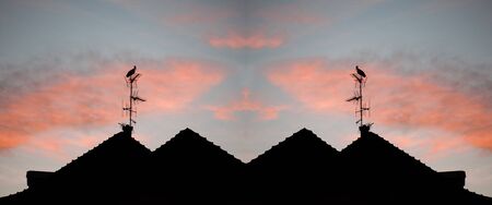 Two storks on the tall terrestrial antenna with beautiful sunset in backgroundの写真素材