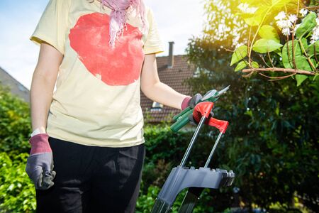 Woman holding secateurs prunning on the tall ladder in the green garden preparing to cut the shrubsの写真素材