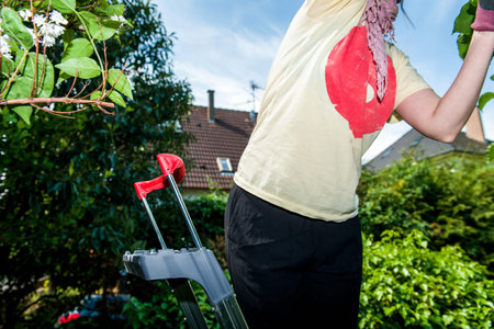 Low angle view of woman pruning on the tall ladder in the green garden preparing to cut the shrubs