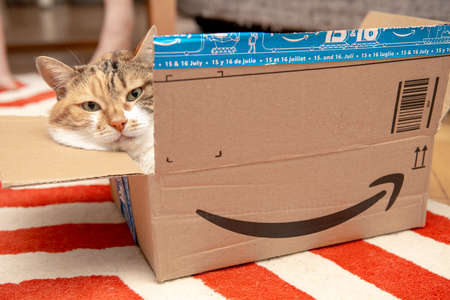 Paris, France - Aug 19, 2019: Serious cat with funny look resting inside cardboard parcel box of Amazon Prime on-line retailer with a sticker from Prime Dayのeditorial素材