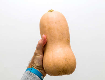 Male hand holding with raw Butternut squash against white backgroundの写真素材
