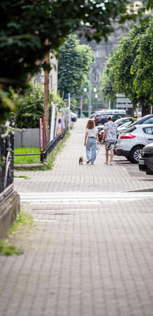 Rear view of couple with small dog walkingのeditorial素材