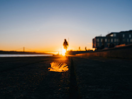 woman going to sunset and tall bridge leaving behind a bird feather