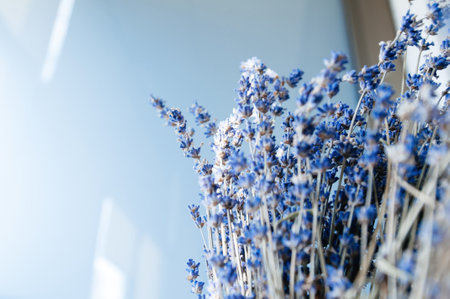 Beautiful bouquet of lavender lavandula flower beautiful scent of freshly picked flowerの写真素材