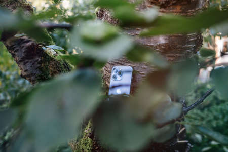 Seen through old cherry tree branch with new iPhone 13 Pro Max 5G smartphone model by Apple Computersのeditorial素材