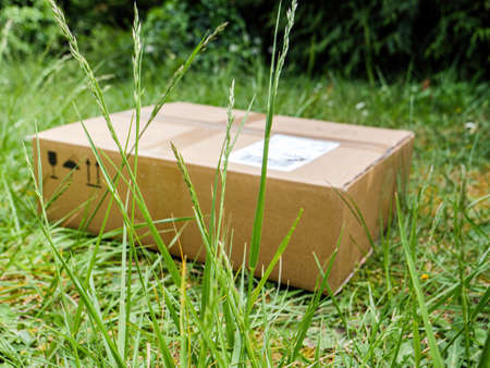 View through grass blades of cardboard parcel package - freshly delivered internet packageの写真素材