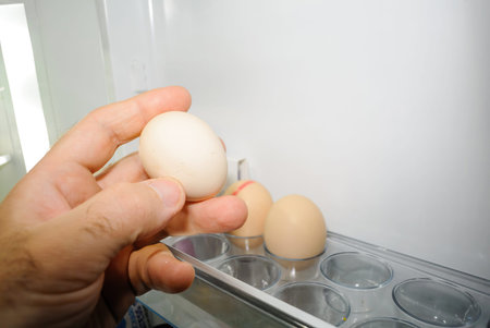 Male hand taking fresh egg from fridge