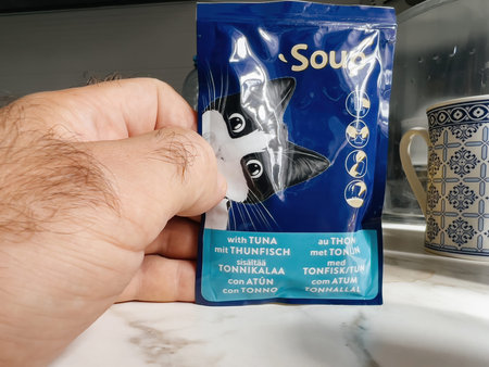 POV male hand holding pouch with Felix wet cat food Tuna taste