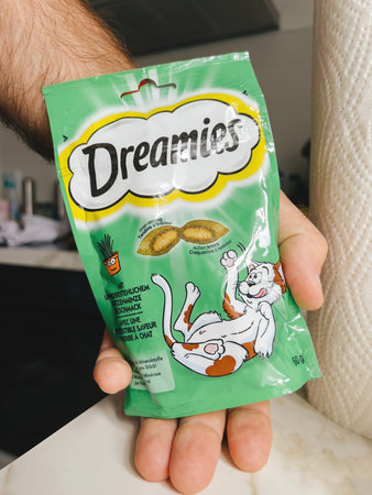 POV male hand holding pack with Dreamies dry cat food Jelly with chiken meat and aloe vera - modern...