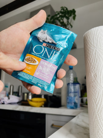 POV male hand holding pouch with Purina One wet cat food Jelly with Chickenのeditorial素材