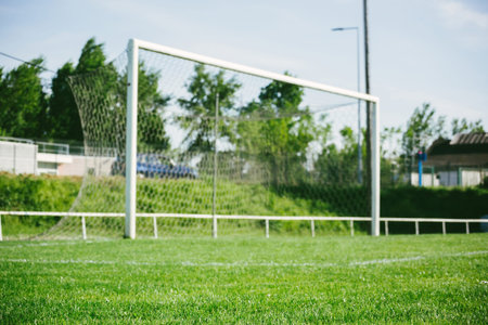 Team Sports: Achieving Goals on the Green Field.