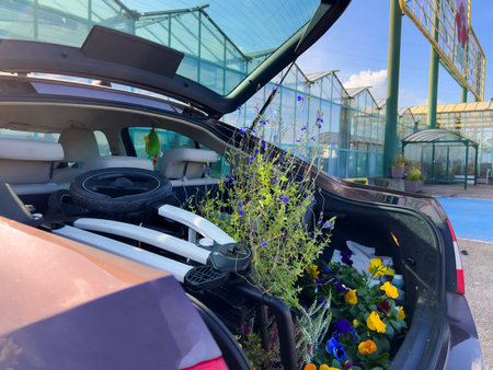 A Cars Trunk Blooming with Floral Transportationの写真素材