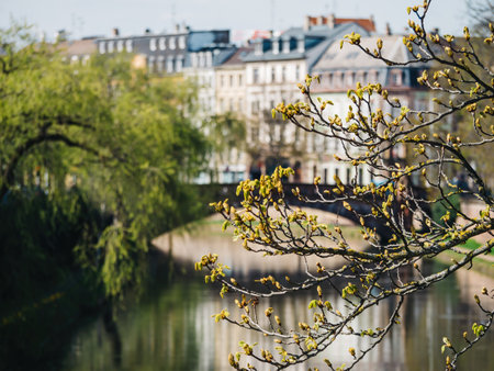 Urban Scene of Investment and Reflectionの写真素材