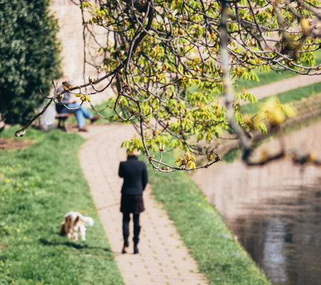 Silhouette of Woman Walking Her Pet Dogの写真素材