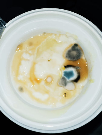 Contaminated Breakfast: Moldy Yogurt Dishの写真素材