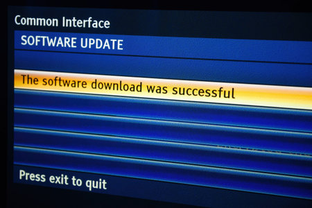 Successful Software Download on Modern Tv Set