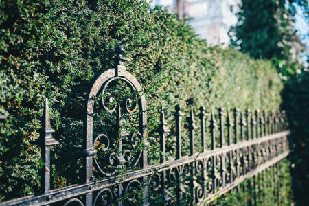Vintage iron fence in green town