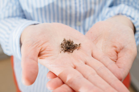 hands holding hundreds of tiger mosquitoes - magnified. Multiple microscopic insects on the skin...