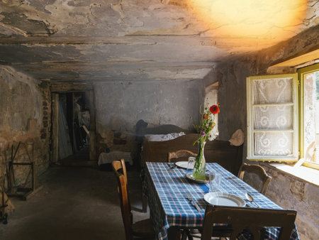 Wide Interior of Ancient Troglodyte House with Flowers