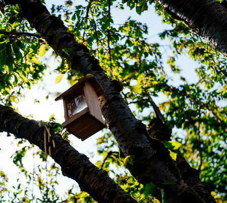 A low-angle view of a bird feeding house nestled in a cherry tree on a sunny summer day, capturing a peaceful and natural sceneの写真素材
