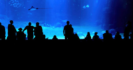 Unrecognizable silhouettes of people observing marine life through a large aquarium window, highlighting an underwater world with a calming blue ambianceの写真素材