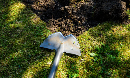 A shovel placed near the edge of a grass lawn during a garden renovation, surrounded by soil and...