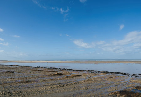 The wide, sandy beach stretches out towards the horizon under a clear blue sky, providing an...