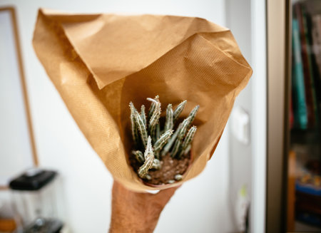A male hand holds a potted cactus wrapped in brown paper, captured indoors, highlighting the natural texture of the plant and the minimalist packagingの写真素材