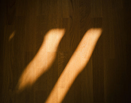 Soft sunlight casting abstract shadows on a wooden floor, creating a warm and minimalistic atmosphere with natural textures and light patternsの写真素材